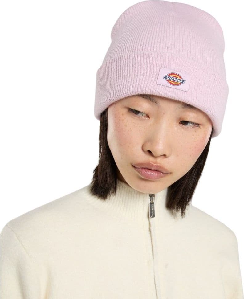 Dickies cappelo baine rosa Gibsland unisex DK0A4X7KK73 - 4