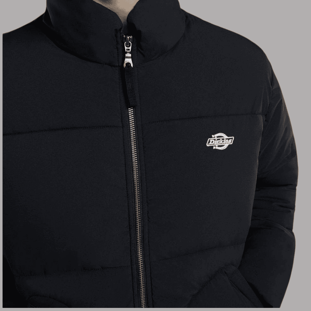 Dickies piumino puffer nero Summerdale DK0A87OGBLK in Giacche Prodotti di Classe - Nocera Superiore, commercioVirtuoso.it