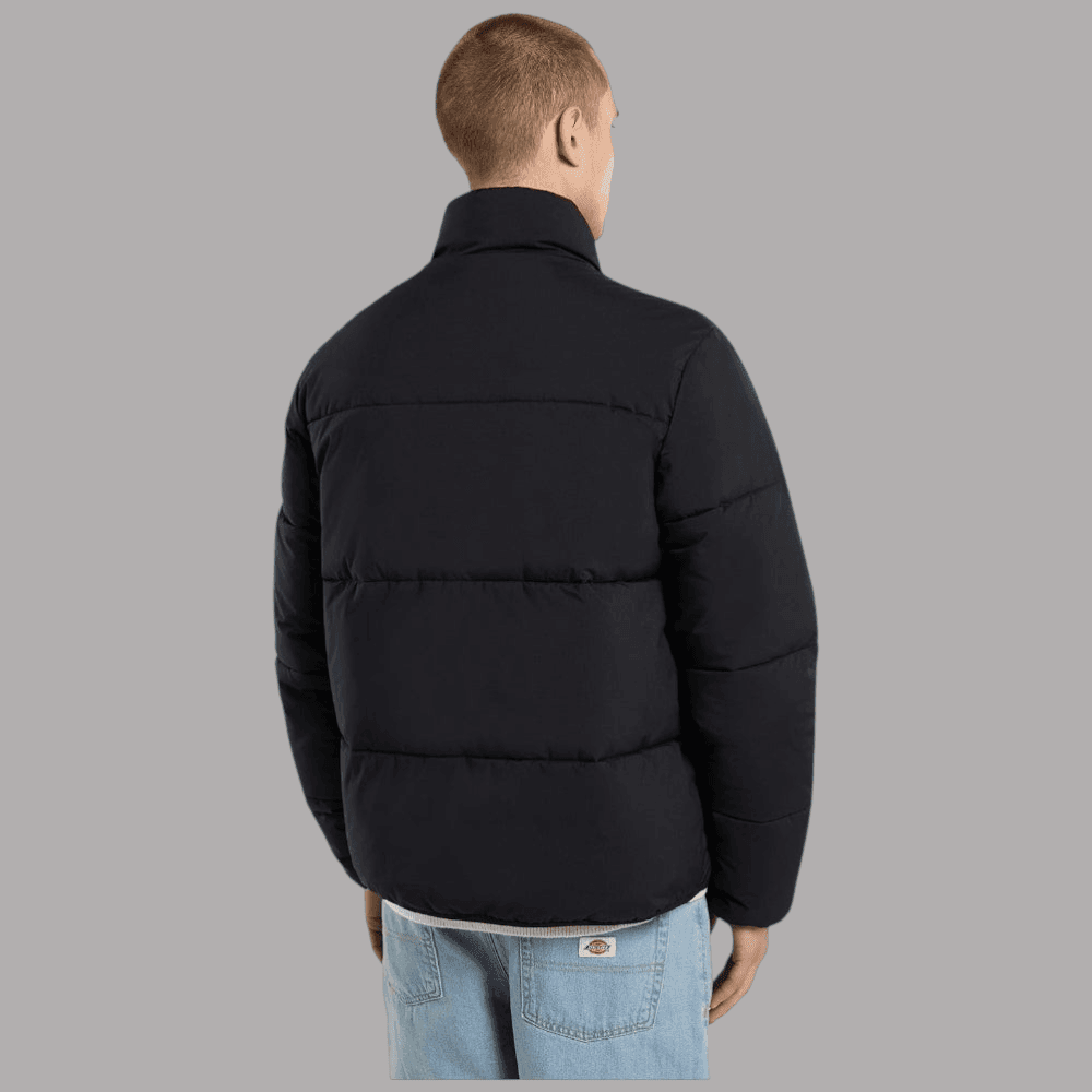 Dickies piumino puffer nero Summerdale DK0A87OGBLK in Giacche Prodotti di Classe - Nocera Superiore, commercioVirtuoso.it