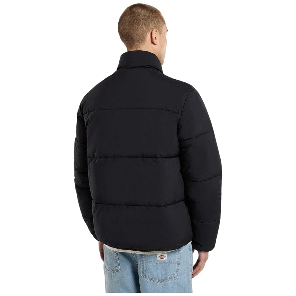 Dickies piumino puffer nero Summerdale DK0A87OGBLK in Giacche Prodotti di Classe - Nocera Superiore, commercioVirtuoso.it