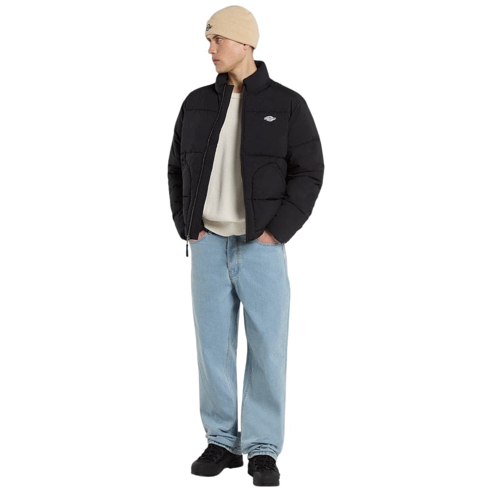 Dickies piumino puffer nero Summerdale DK0A87OGBLK in Giacche Prodotti di Classe - Nocera Superiore, commercioVirtuoso.it