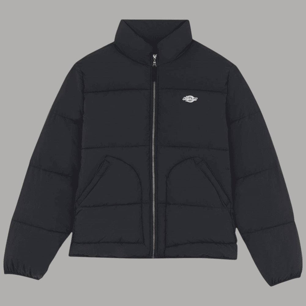 Dickies piumino puffer nero Summerdale DK0A87OGBLK in Giacche Prodotti di Classe - Nocera Superiore, commercioVirtuoso.it
