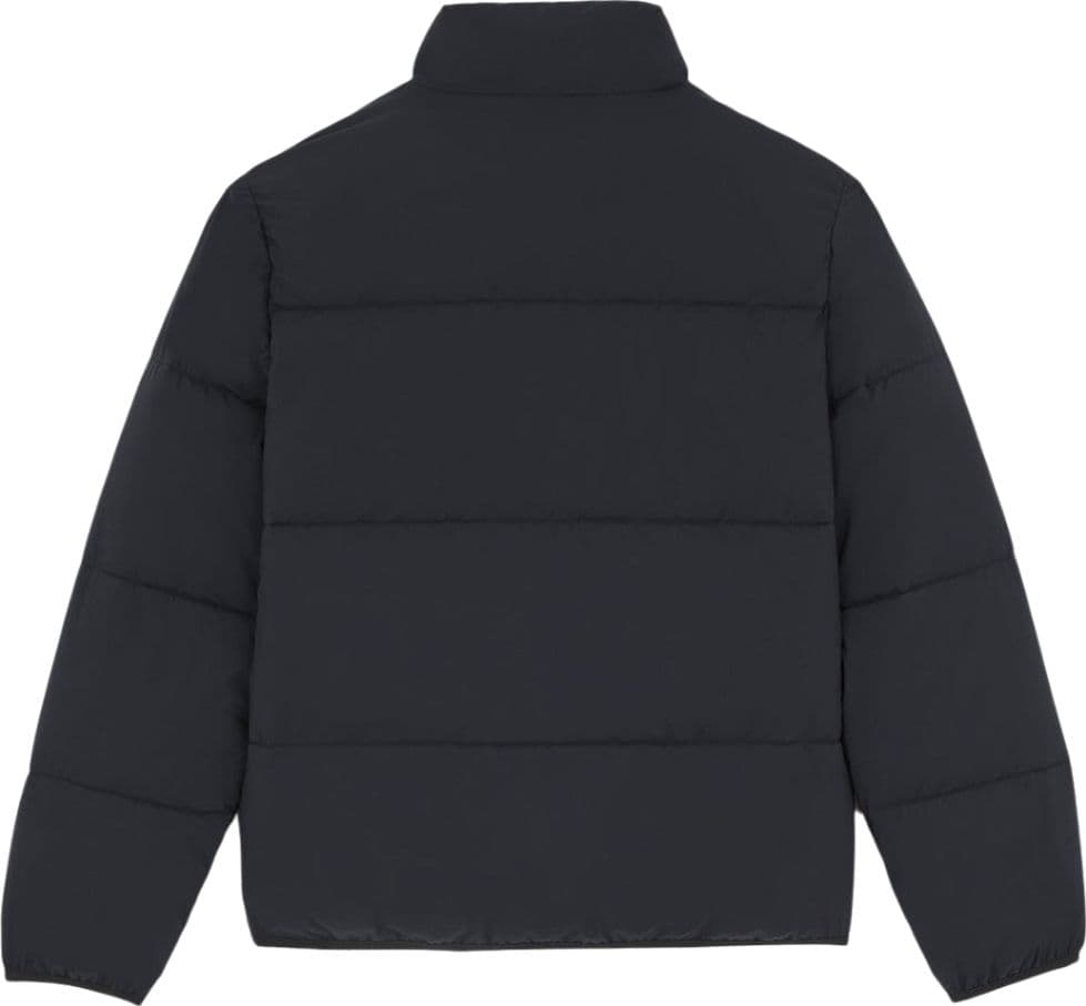 Dickies piumino puffer nero Summerdale DK0A87OGBLK in Giacche Prodotti di Classe - Nocera Superiore, commercioVirtuoso.it