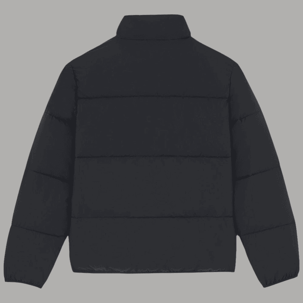 Dickies piumino puffer nero Summerdale DK0A87OGBLK in Giacche Prodotti di Classe - Nocera Superiore, commercioVirtuoso.it