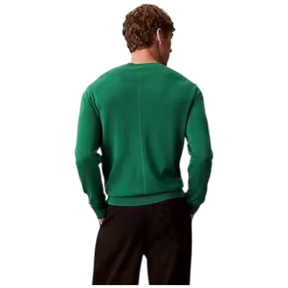 Calvin Klein pullover supima cotton verde LV040BM343LL1 in Maglioni Prodotti di Classe - Nocera Superiore, commercioVirtuoso.it