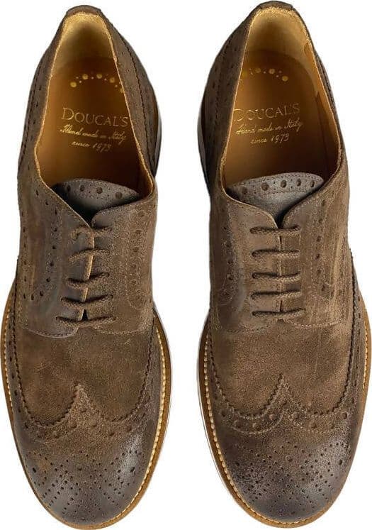 Scarpa uomo Doucal's - Derby Stringate Brogue Scamosciato colore marrone - 5