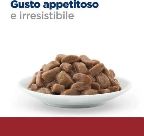 Hill's Prescription Diet Biome Digestive Pollo umido Gatti Adulti 1,5 kg in Secco 101 Market - Poggibonsi, commercioVirtuoso.it