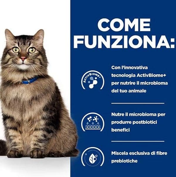 Hill's Prescription Diet Biome Digestive Pollo umido Gatti Adulti 1,5 kg in Secco 101 Market - Poggibonsi, commercioVirtuoso.it
