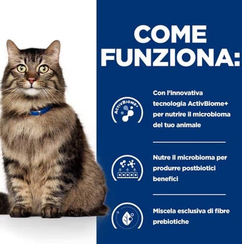 Hill's Prescription Diet Biome Digestive Pollo umido Gatti Adulti 1,5 kg in Secco 101 Market - Poggibonsi, commercioVirtuoso.it