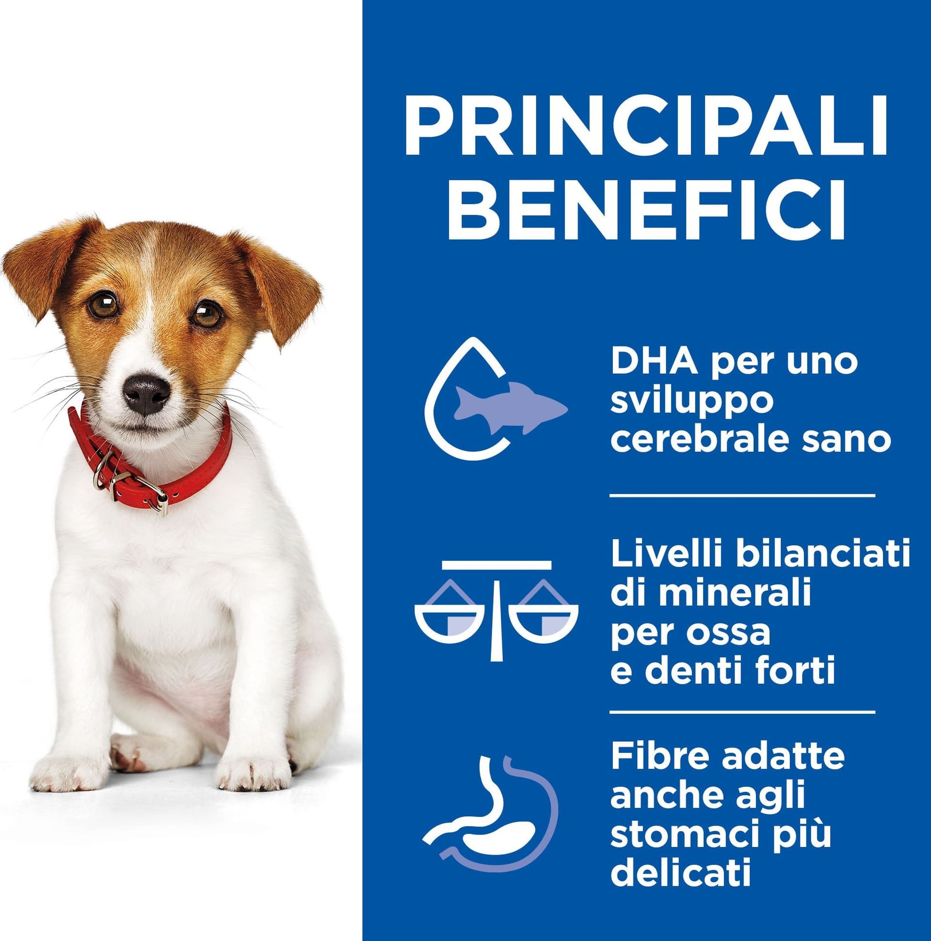 Hill's Healthy Cuisine umido Cani Puppy Mini pollo e verdure 80 gr - 7