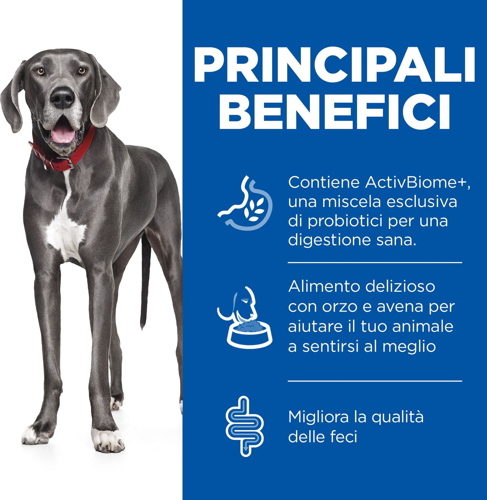 Hill's Perfect Digestion secco Cani Adulti Medium pollo - 7