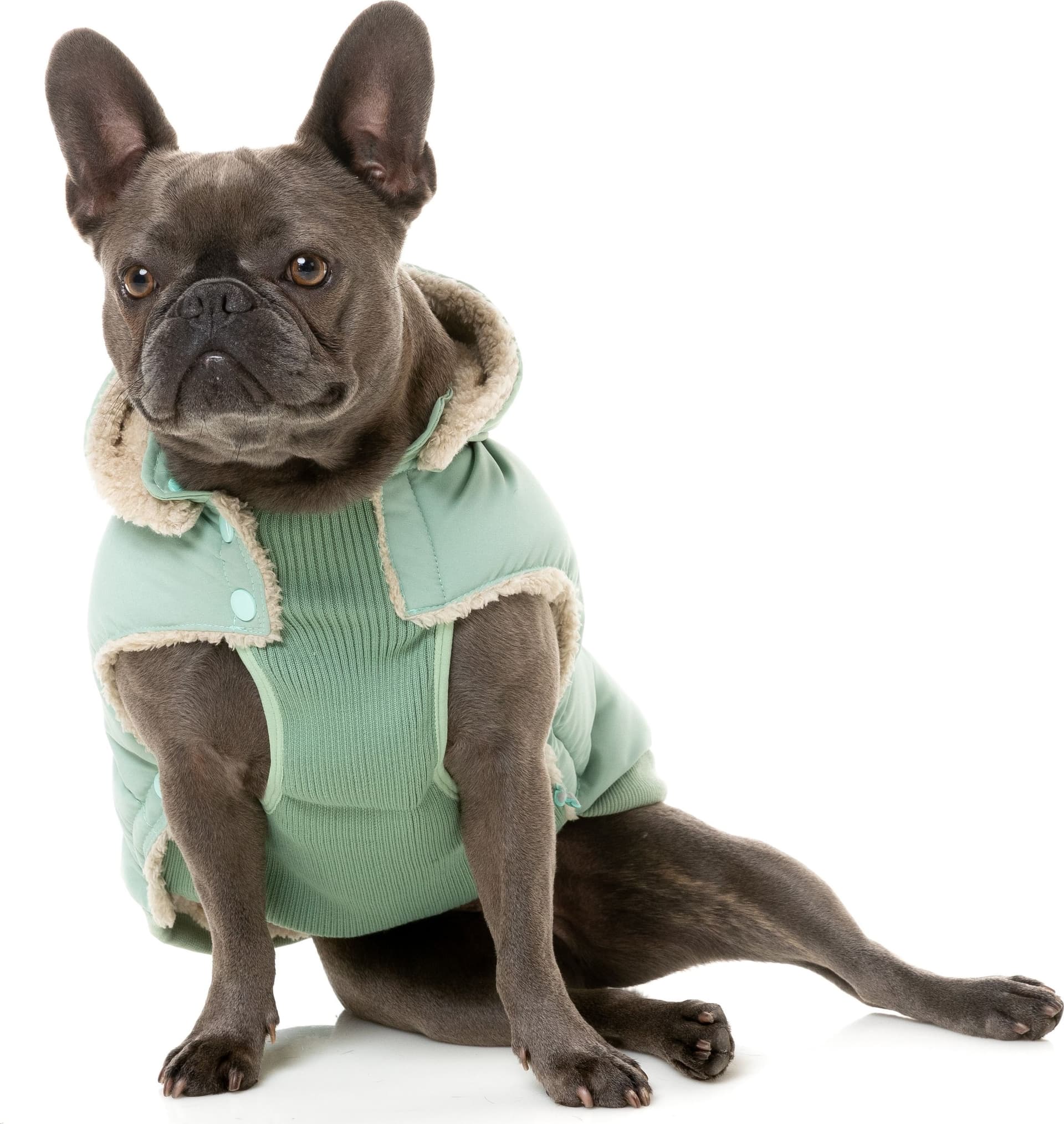 FuzzYard Essential Puffer Piumino per Cani - 8
