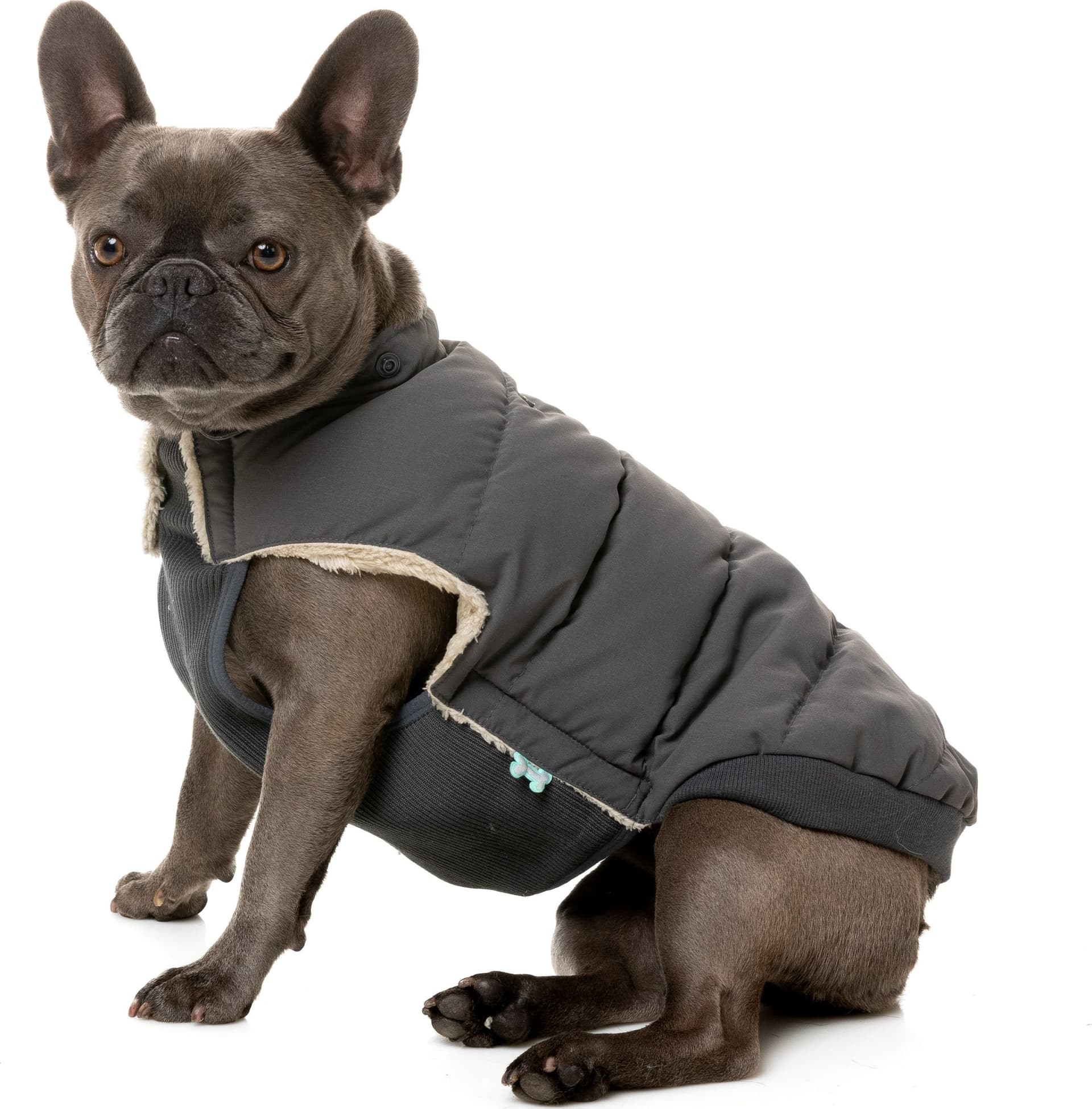 FuzzYard Essential Puffer Piumino per Cani - 9