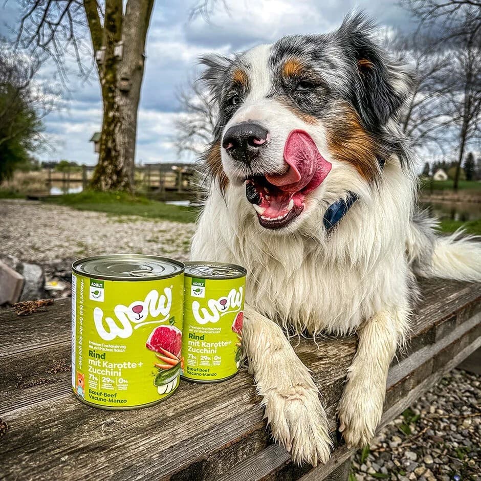 Wow Adult Manzo Scatoletta per Cani 400gr - 4
