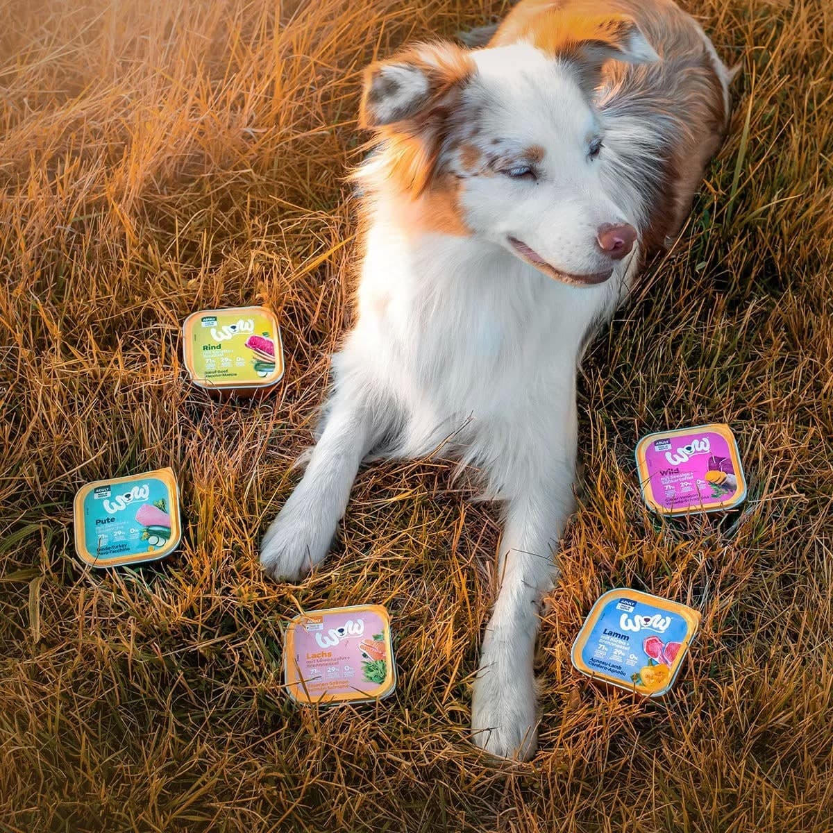 Wow Adult Manzo Vaschetta per Cani 150gr - 2