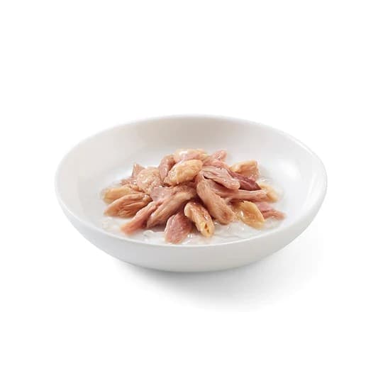 Schesir Jelly Tonnetto con Salmone per Gatti Adulti 50gr - 2