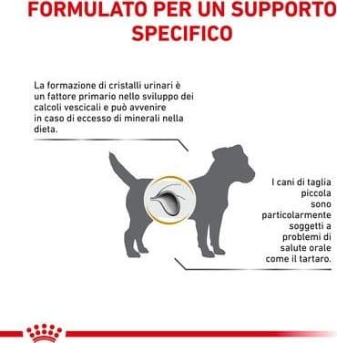 Royal Canin Urinary S/O Small Dogs Croccantini per Cani Adulti - 5