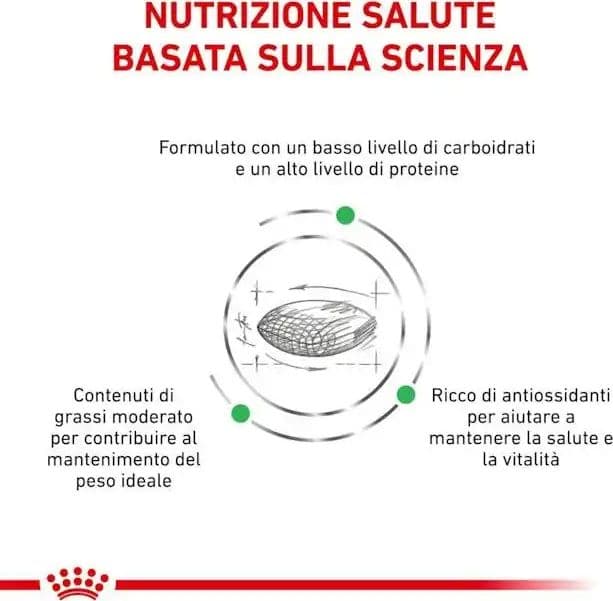 Royal Canin Diabetic Croccantini per Cani Adulti - 5