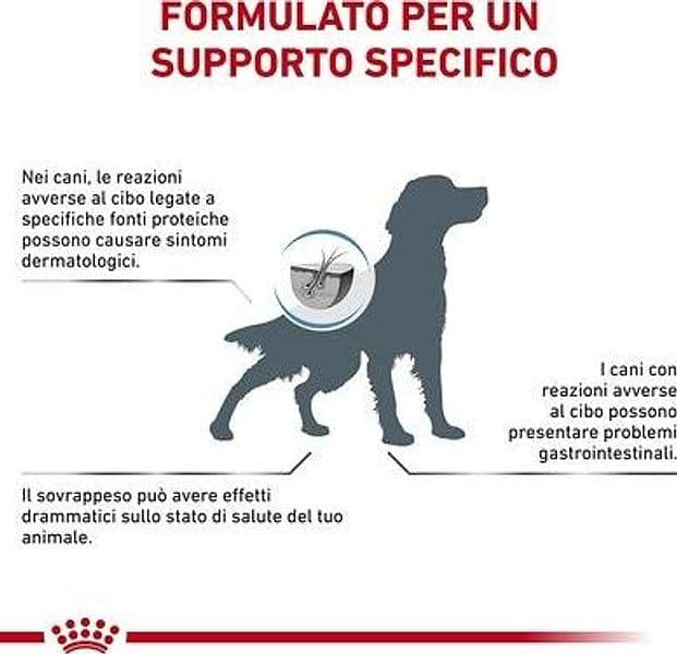 Royal Canin Hypoallergenic Moderate Calorie Croccantini per Cani Adulti - 4