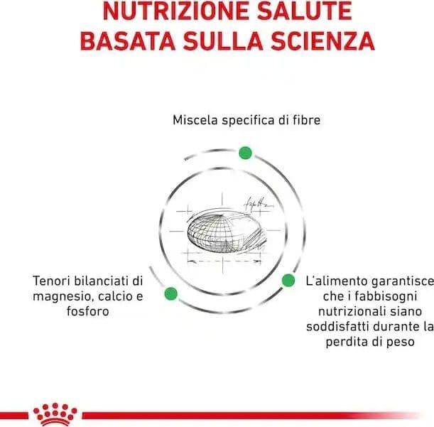 Royal Canin Satiety Weight Menagement Small Dogs Croccantini per Cani Adulti - 7