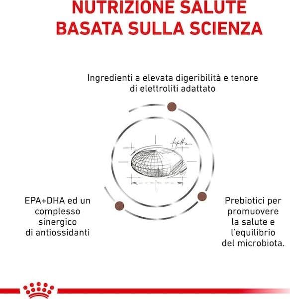 Royal Canin Gastrointestinal Moderate Calorie Croccantini per Gatti Adulti - 4