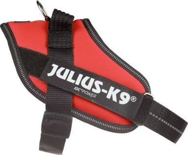 Pettorina Julius-K9 IDC Power Rosso - 4