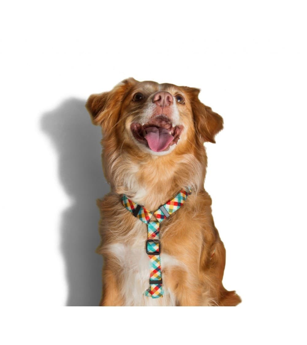 Pettorina ad H Zeedog Phantom per Cani - 4