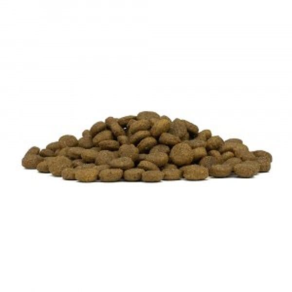 Forza 10 Mono Diet cane Medium Adult cavallo e piselli 12 kg - 4