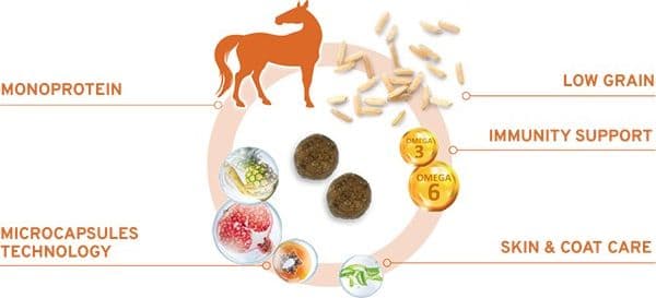 Forza 10 Mono Diet cane Medium Adult cavallo e piselli 12 kg - 5