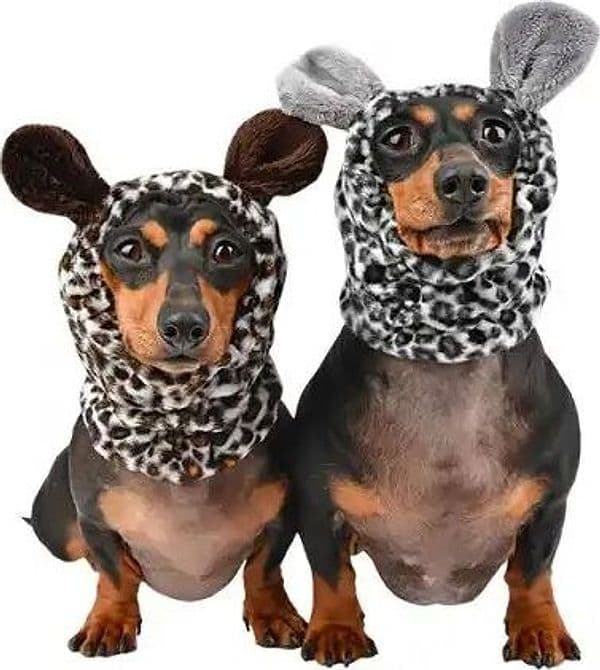 Paraorecchie Puppia Leonard per Cani - 6