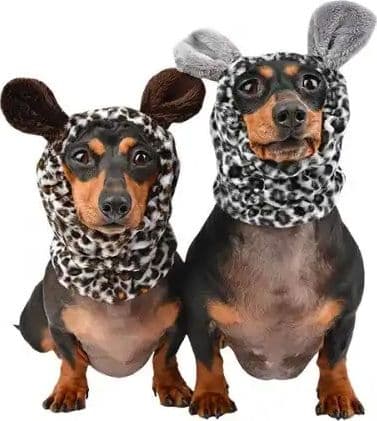 Paraorecchie Puppia Leonard per Cani - 6