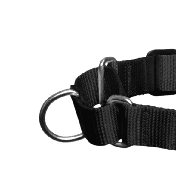 Pettorina Zeedog Soft - Walk Fatboy per Cani - 4