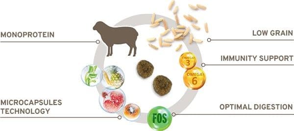 Forza 10 Mono Diet cane Medium Adult agnello 12 kg - 5