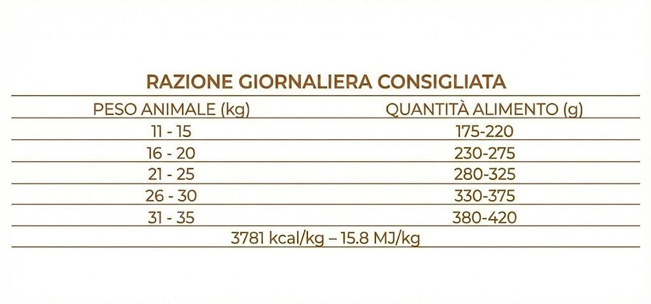Forza 10 Mono Diet cane Medium Adult agnello 12 kg - 6