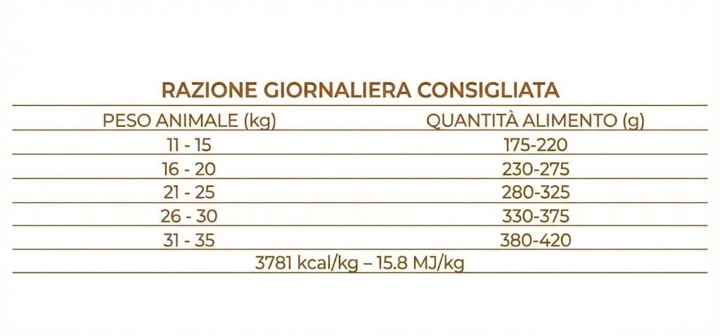 Forza 10 Mono Diet cane Medium Adult agnello 12 kg - 6