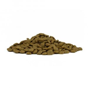 Forza 10 Active Vet Diet cane Gastroenteric low fat - 4