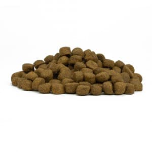 Forza 10 Diet Cane Pesce 12kg in Secco 101 Market - Poggibonsi, commercioVirtuoso.it