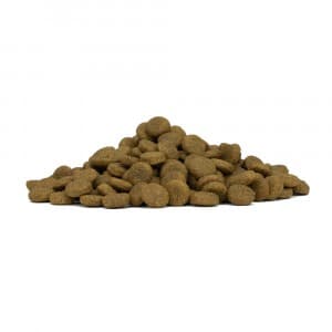 Forza 10 Diet Cane Pesce 12kg in Secco 101 Market - Poggibonsi, commercioVirtuoso.it