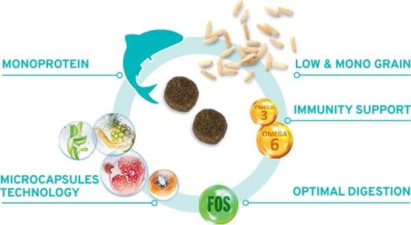 Forza 10 Mono Diet cane Maxi Adult pesce 12 kg - 5