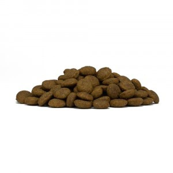 Forza 10 Mono Diet cane Medium Adult cervo con patate 12 kg - 4