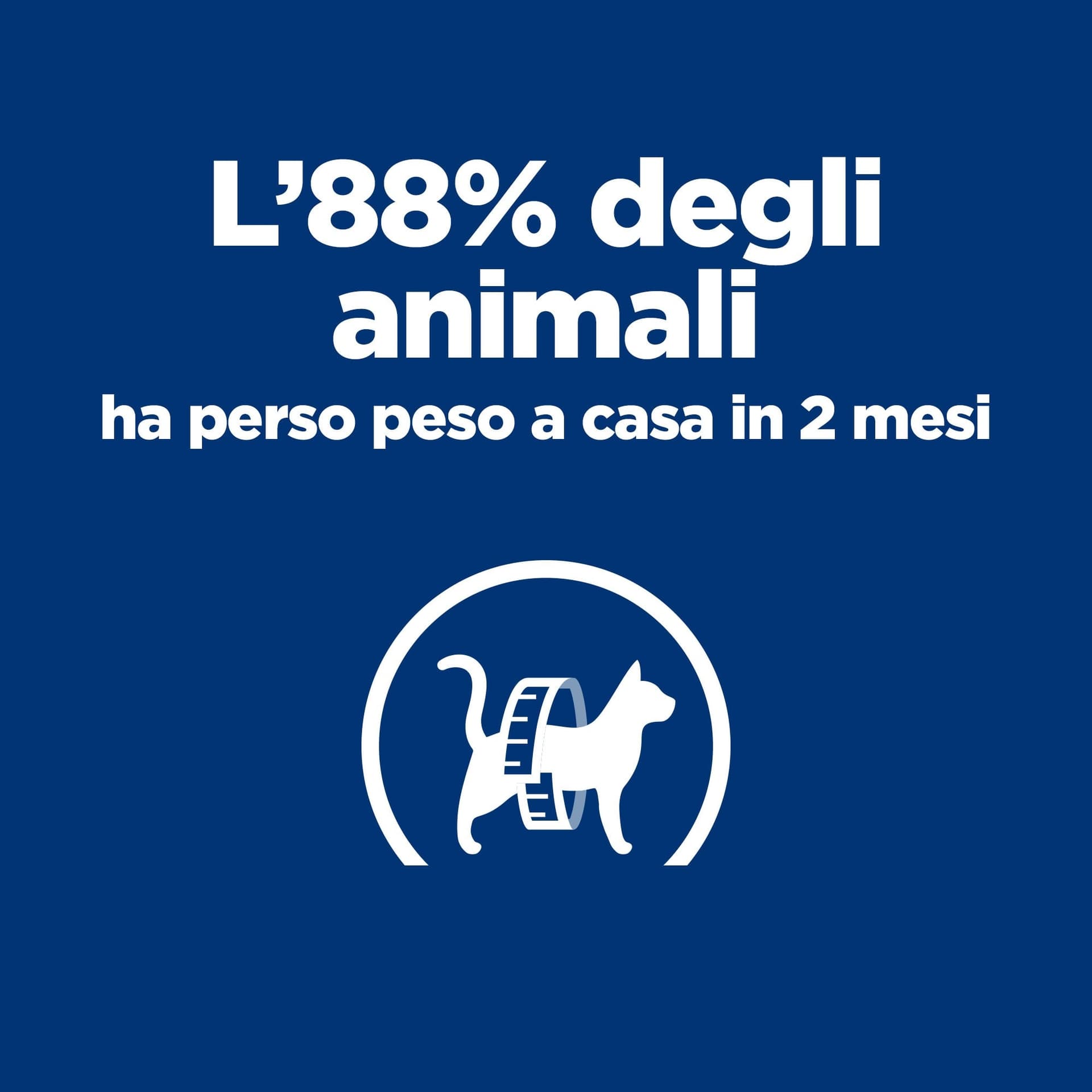 Hill's Prescription Diet Metabolic umido Gatti Adulti pollo 85 gr - 13