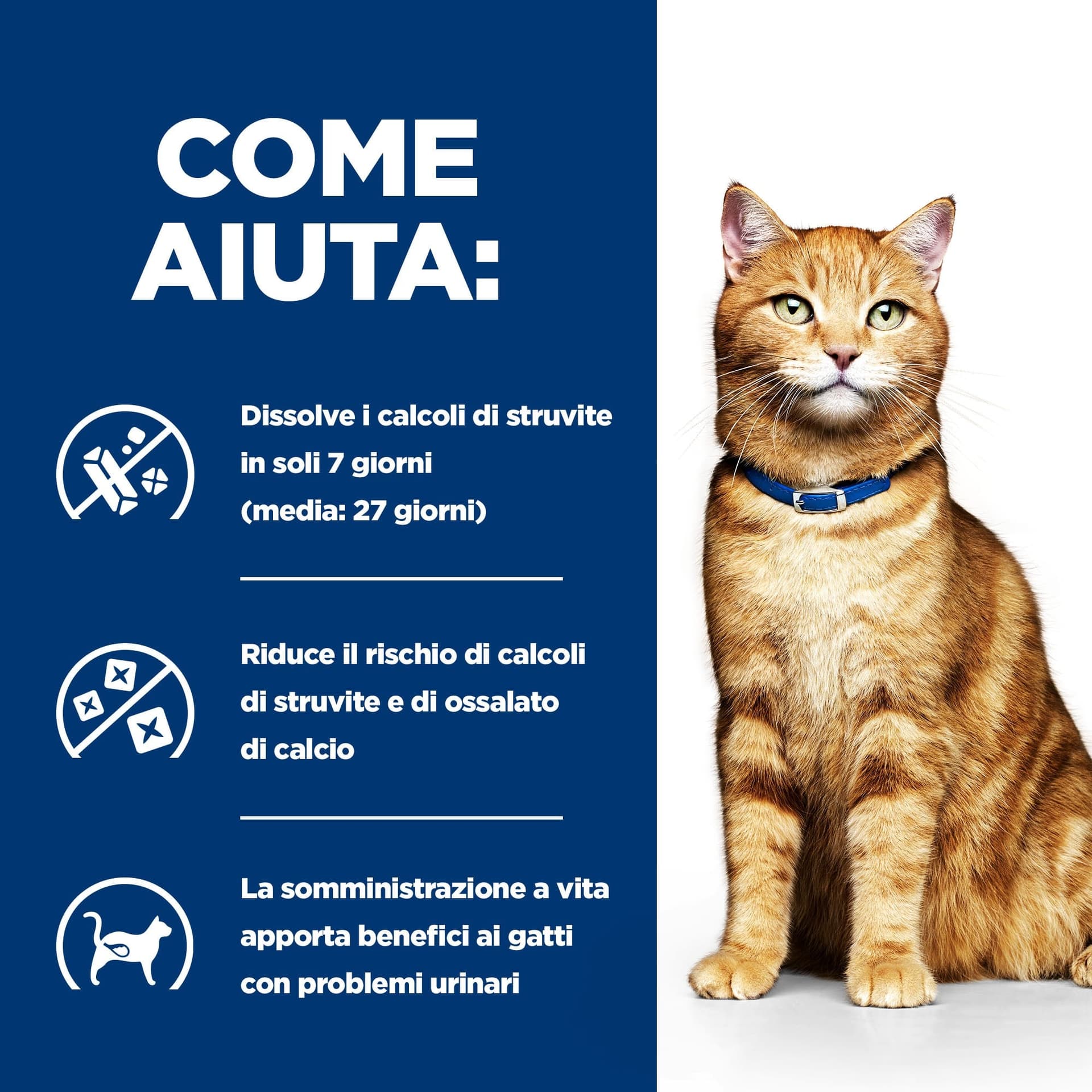 Hill's Prescription Diet Multicare umido Gatti Adulti pollo 156 gr - 9