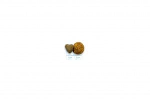 Forza 10 Active Vet Diet  Hypoallergenic gatto - 4