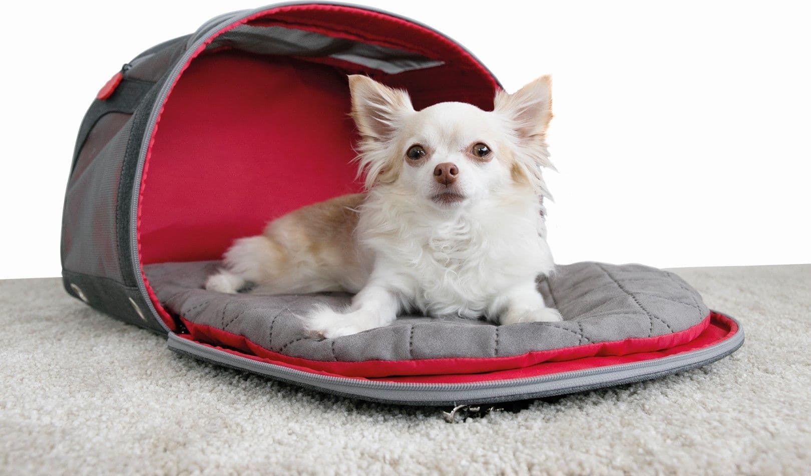 Trasportino per cani 2 in 1 Kong Pet Carrier - 3