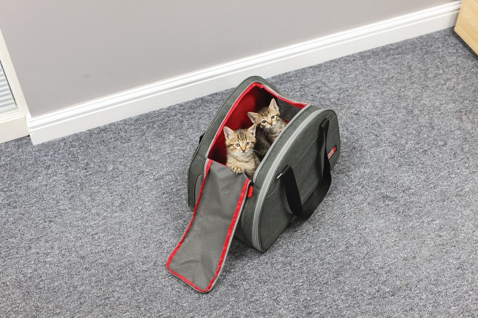 Trasportino per cani 2 in 1 Kong Pet Carrier - 6