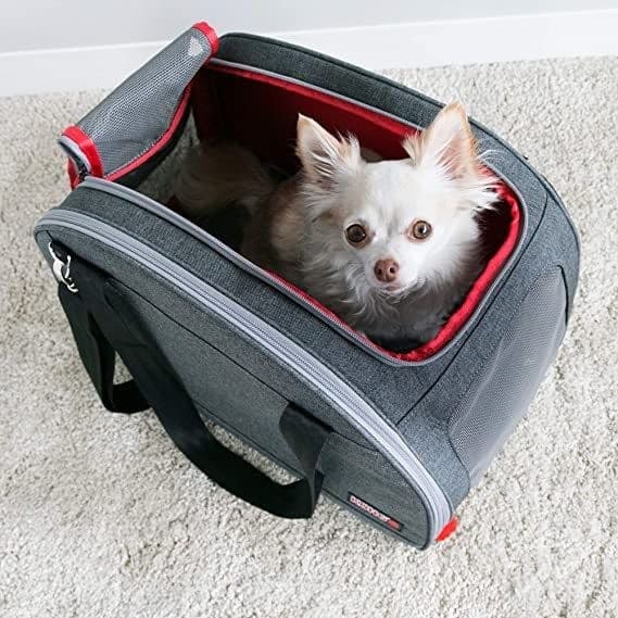 Trasportino per cani 2 in 1 Kong Pet Carrier - 8