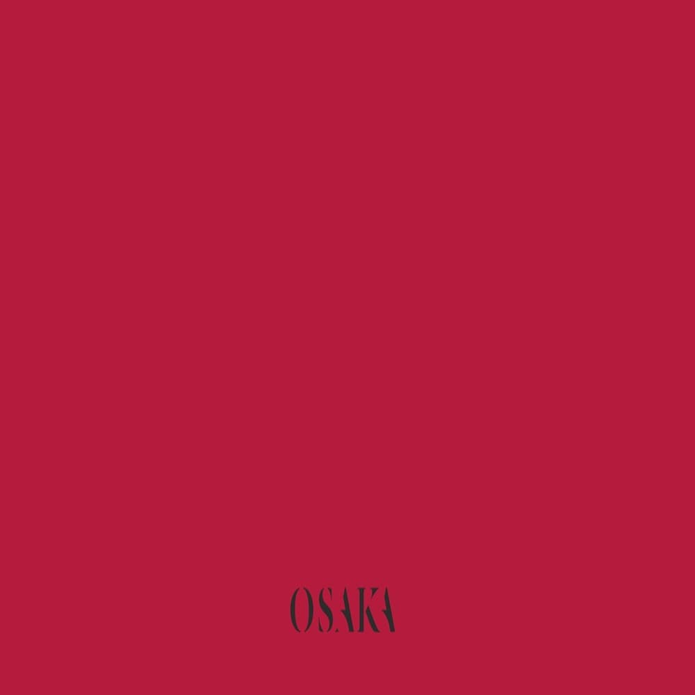 Osaka 2,5lt pittura lavabile per interni colore Fuego - 3