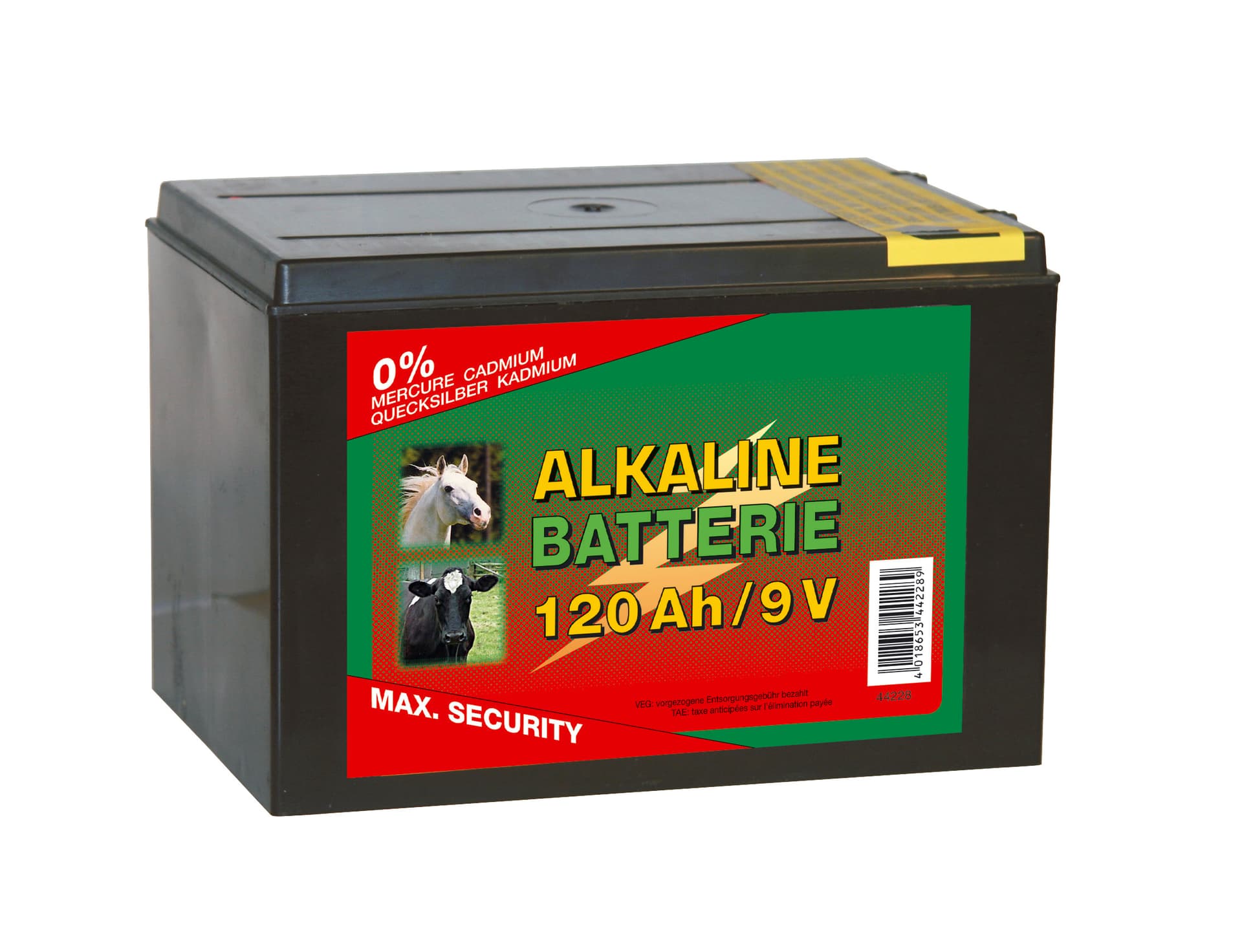 Batteria a Secco Alcalina 9 V 120 Ah - 2