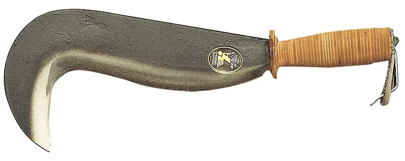 Roncola Lucca Cm 28 Angelo B - 2