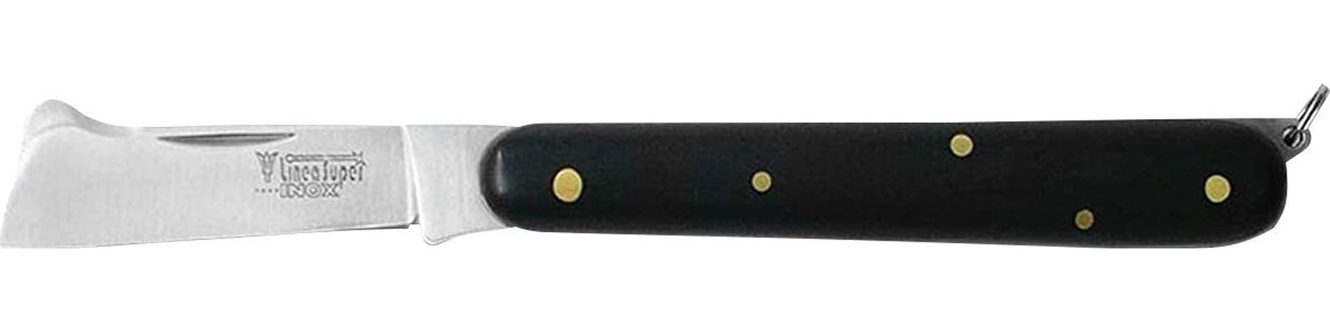 Colore Tello Innesto Acciaio Inox Cm 17 – Autres